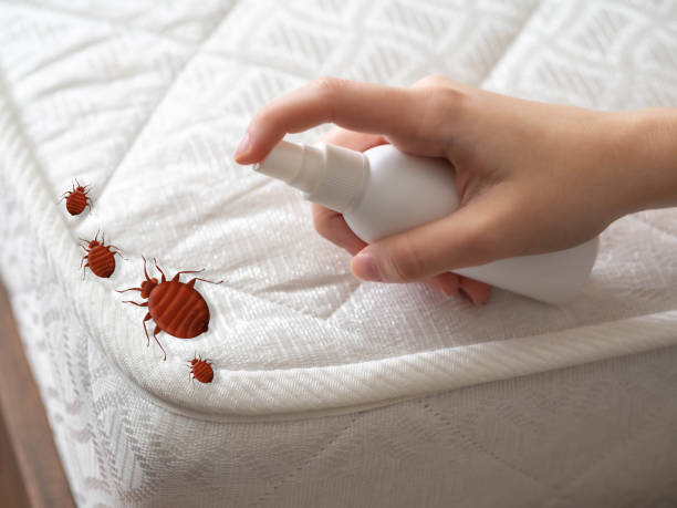 Best Residential Pest Control  in Milton, LA